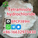 Tetramisole hydrochloride25.jpg