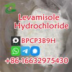 Levamisole Hydrochloride38.jpg